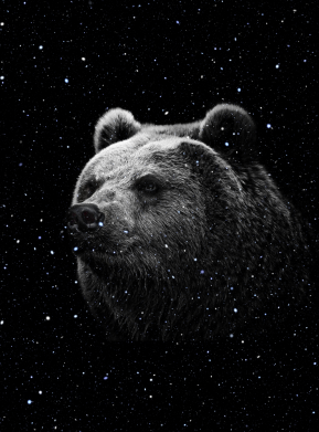 Флаг Bear and stars 2