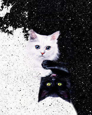 Чохол з розділу Кіт Yin and Yang cats для Oppo A15s/A15 2