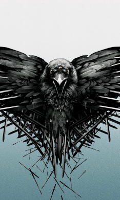 Чехол из раздела Игра престолов Raven для Xiaomi Redmi 12 2