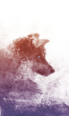 Чехол из раздела Игра престолов Wolf art для Xiaomi Redmi 12 2