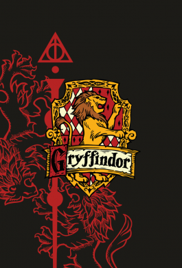 Чохол з розділу Гаррі Поттер Modern Gryffindor для Xiaomi Redmi Note 9 5G/Redmi Note 9T 2