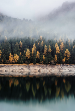 Чохол з розділу Ліс Forest by the lake для Xiaomi Redmi Note 9S/9Pro/9Pro Max 2