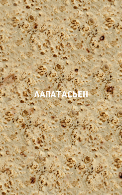 Чохол з розділу Соціальні мережі Шаурма лапатасьєн для Xiaomi Redmi Note 9 5G/Redmi Note 9T 2