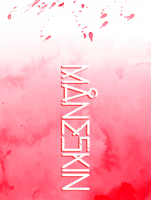 Блокнот А5 Måneskin Art 2