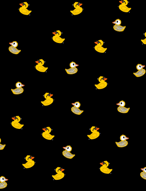 Прапор Качки 2