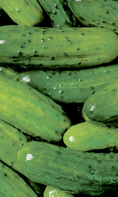 Чехол из раздела Любителям еды Огурцы для Apple iPhone 13 mini 2