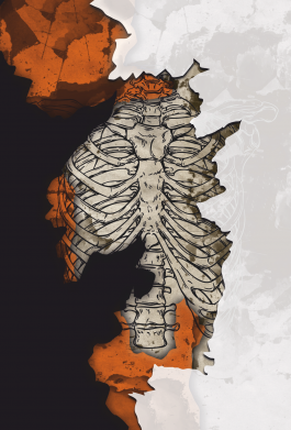 Чехол из раздела Арт-дизайн Skeleton art для Samsung S10+ 2