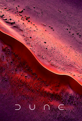 Чохол з розділу Серіали і кіно D U N E для Samsung Note 10 Plus 2