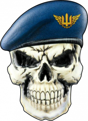 Блокнот А5 Череп. Воздушные силы Украины 2