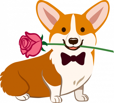 Принт Кружка-хамелеон Corgi With A Rose, Фото № 2 - FATLINE