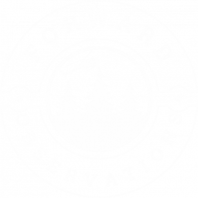 Мужская футболка Stedman Forward Observations 2