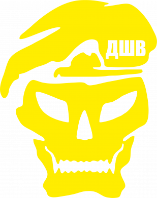 Принт Мужская футболка Stedman Skull ДШВ, Фото № 2 - FATLINE