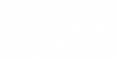 Термобутылка Viano DAD coach 2