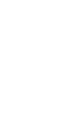 Женская футболка Imprint of human skin in the form of a deer 2