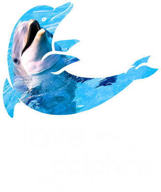 Дельфин