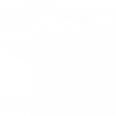 Чехол из раздела Автомобилистам Dodge Hellcat SRT для Apple iPhone 14 Pro 2