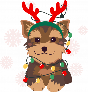 Мужские носки Новогодний йоркширский терьер 2