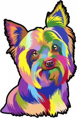 Веселковий тер'єр