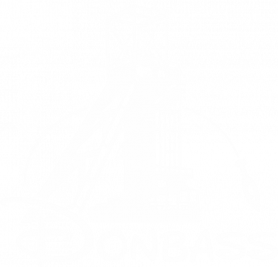 Мужская футболка Gildan Donbass 2