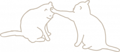 Котики "Не трогай"