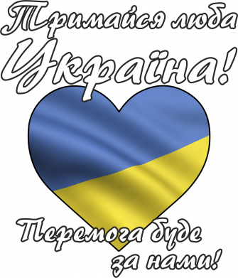 Жіноча футболка Украина держись! 2