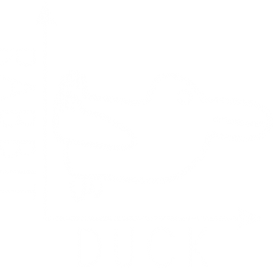 Детская футболка Rabbit and duck 2