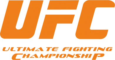 Мужская майка UFC 2