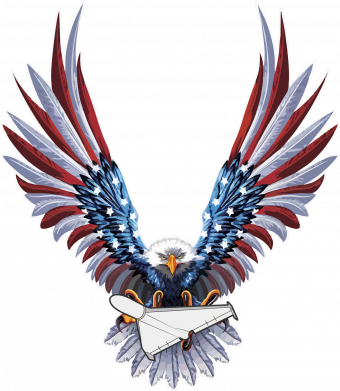 Мужская футболка Stedman American Eagle air defense 2