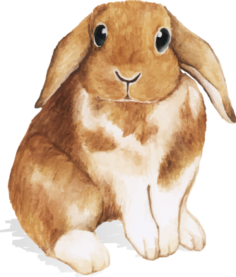 Шеврон круглий Маленький кролик 2