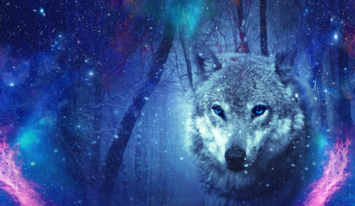 Флаг Blue-eyed wolf 2