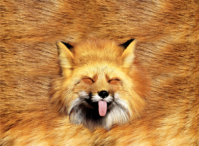 Флаг Хитрая Лисичка 2