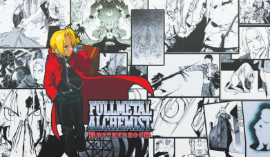 Флаг Fullmetal Alchemist 2