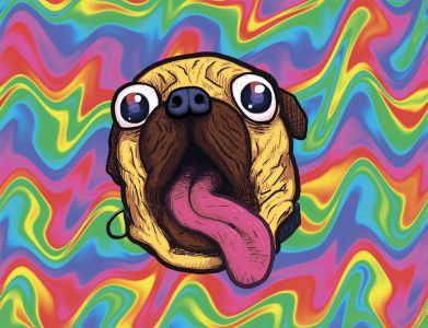 Флаг Colored Pug 2