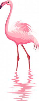 Женская футболка Фламинго 2