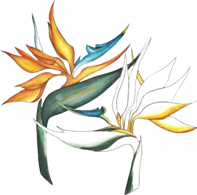 Чехол из раздела Цветы Flowers art painting для Oppo A55 4G 2