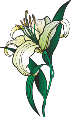 Чехол из раздела Цветы Lily flower для Xiaomi Redmi 12 2