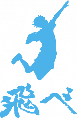 Кружка двухцветная 320ml Haikyuu Hinata 2