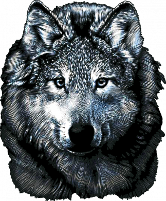 Бутылка металлическая Jumbo Волк гравюра 2