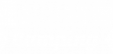 Принт Чоловіча футболка Stedman Forest camping, Фото № 2 - FATLINE