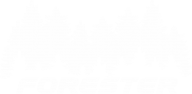 Мужская футболка Stedman Subaru Forester 2