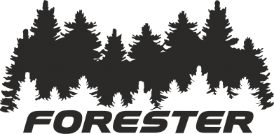 Термокружка Subaru Forester 2