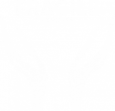 Женская футболка Xрупкий экспресс 2