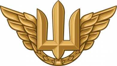 Блокнот А5 Беретный знак Воздушных сил Вооруженных сил Украины 2