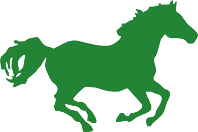 Шоппер Лошадка 2