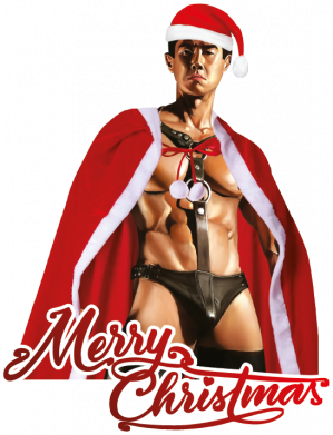 Термобутылка Viano Гачимучи Новогодний 2