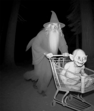 Принт Женская футболка Gandalf Meme, Фото № 2 - FATLINE