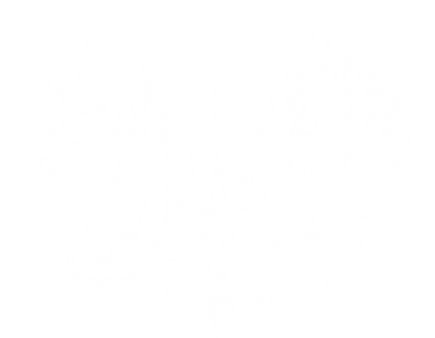 Дитяче худі Ukrainian trident with a pattern 2