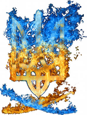 Дитяче худі Гарячий гербу України 2