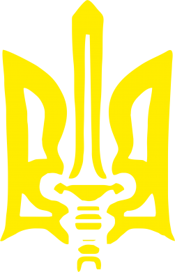 Мужская футболка Stedman Герб з мечем 2