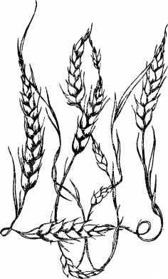 Світшот оверсайз Герб Пшениця 2